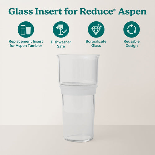 Aspen Glass Insert