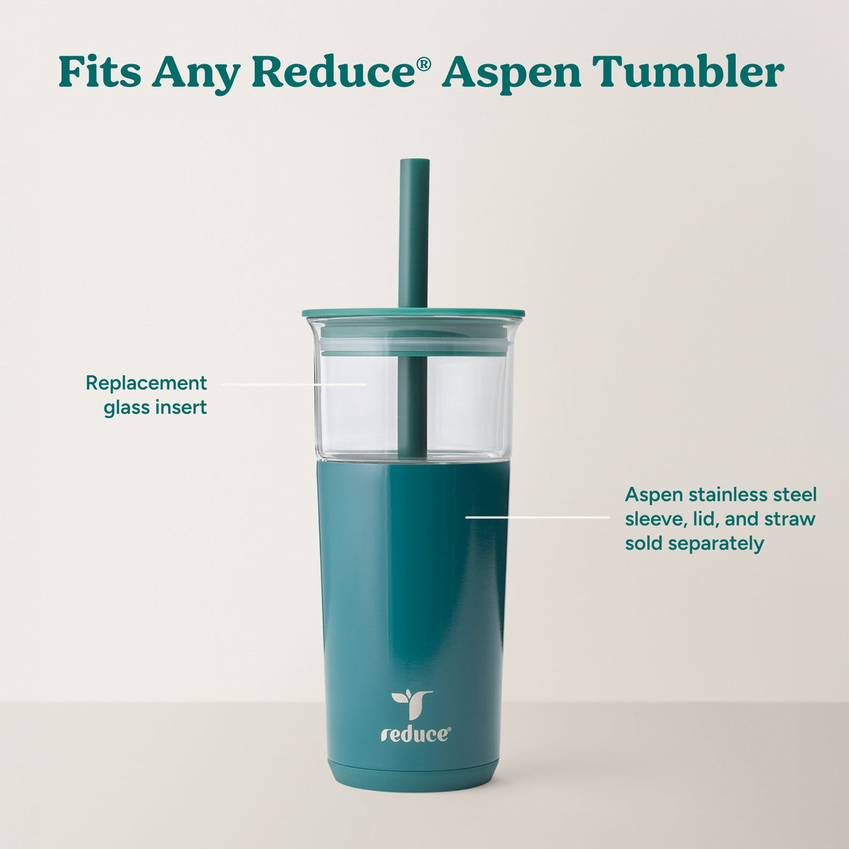 Aspen Glass Insert